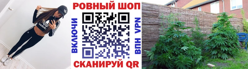 Наркошоп купить Канабис  АМФ  ГАШИШ  Alpha-PVP  Меф мяу мяу  COCAIN  Грайворон