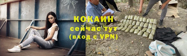 apvp Алексин