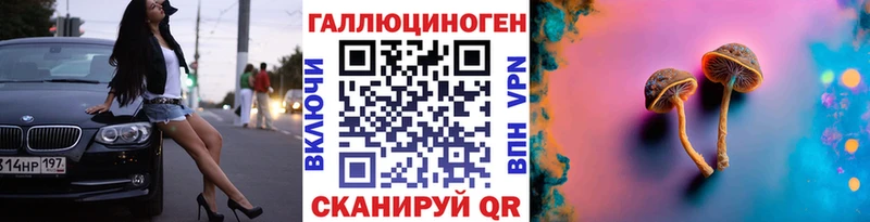 Псилоцибиновые грибы мухоморы  Купить закладки  Грайворон 