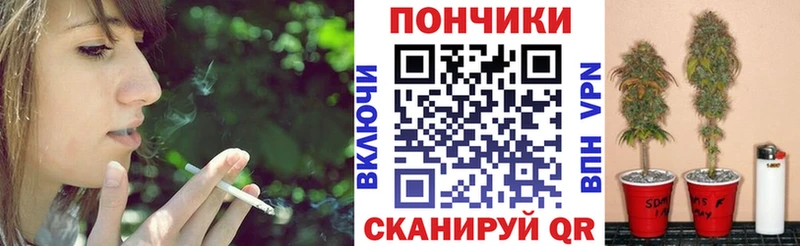 Купить закладки  Грайворон  Шишки марихуана сатива 